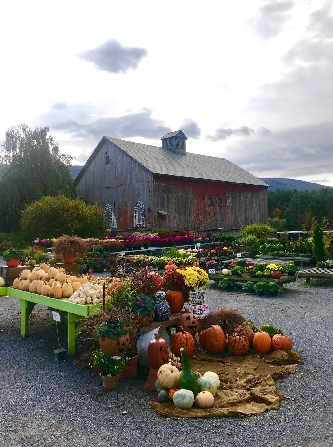 Equinox Valley Nursery