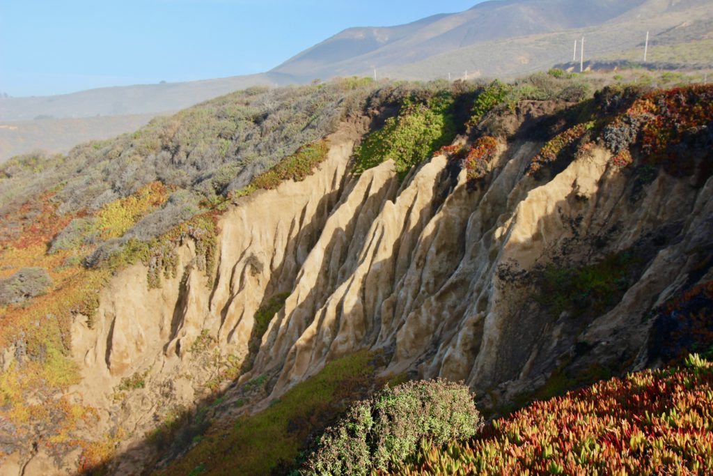 Big Sur, Garrapata State Park