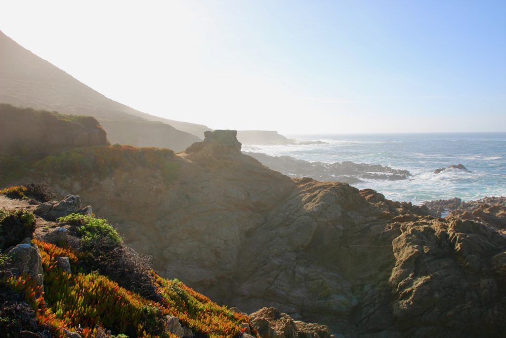 Big Sur , Garrrapata State Park