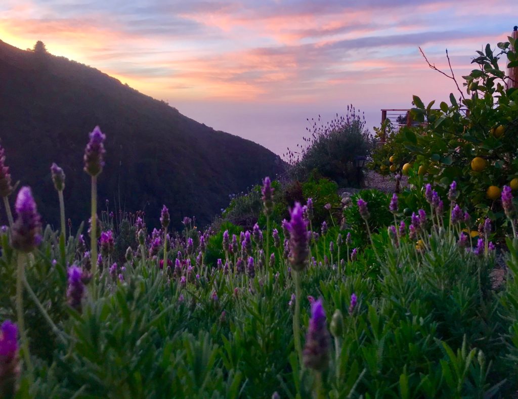 Big Sur sunrise