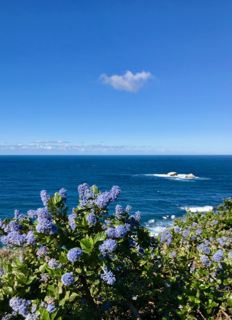 Garrapata State Park