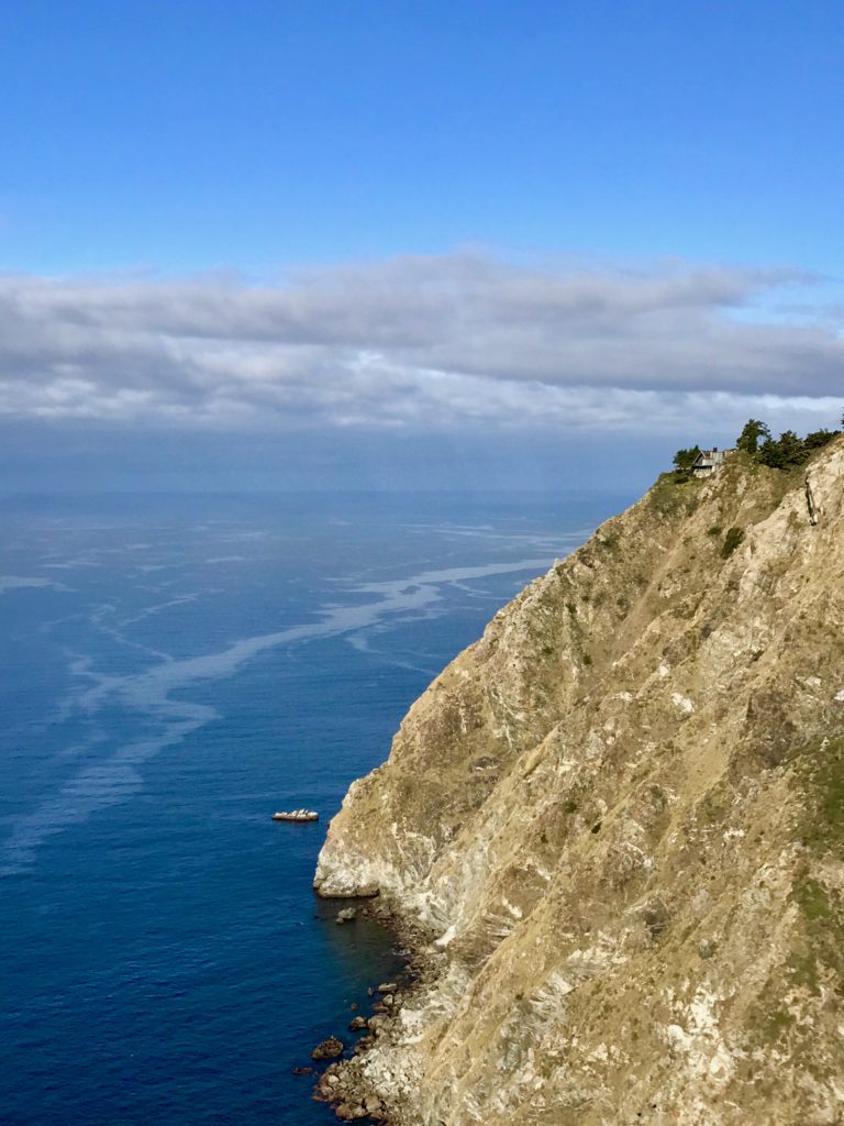 Wild Bird, Big Sur