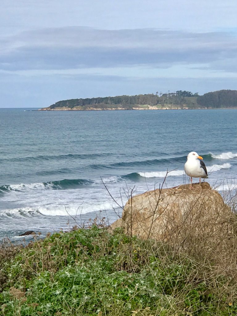 San Simeon, CA