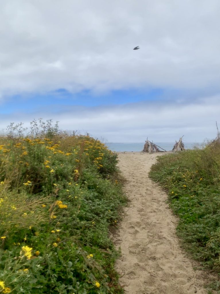 Hiking Big Sur