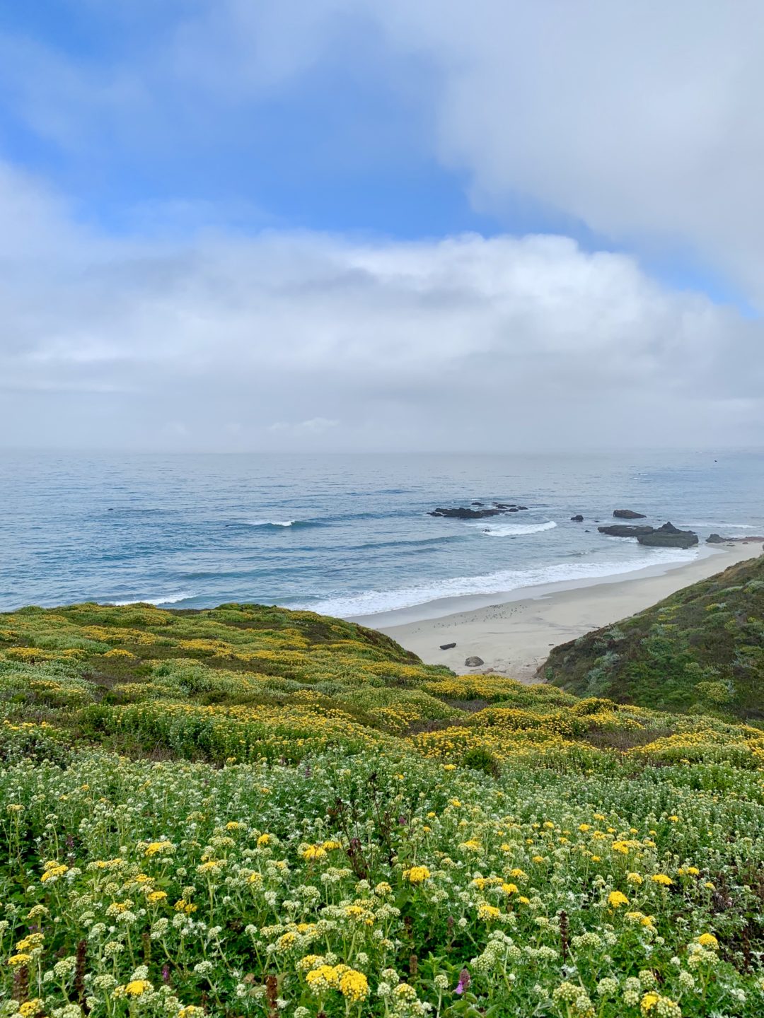 Big Sur Hiking