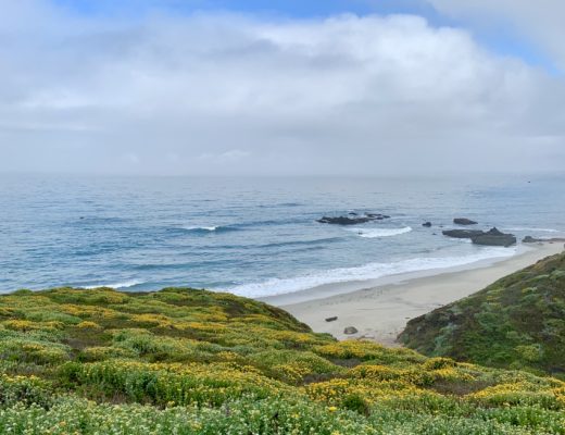 Big Sur Hiking