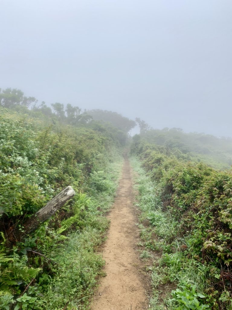 Hiking Big Sur