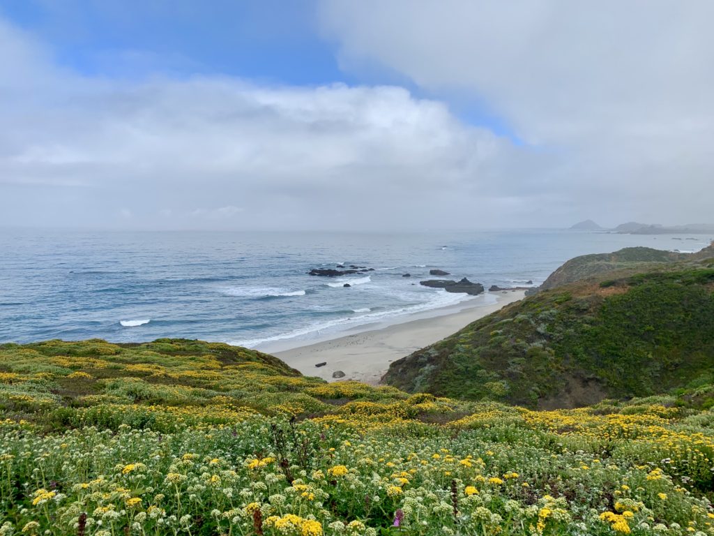 Big Sur Hiking