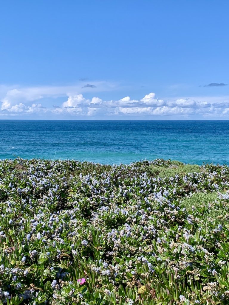 Garrapata State Park